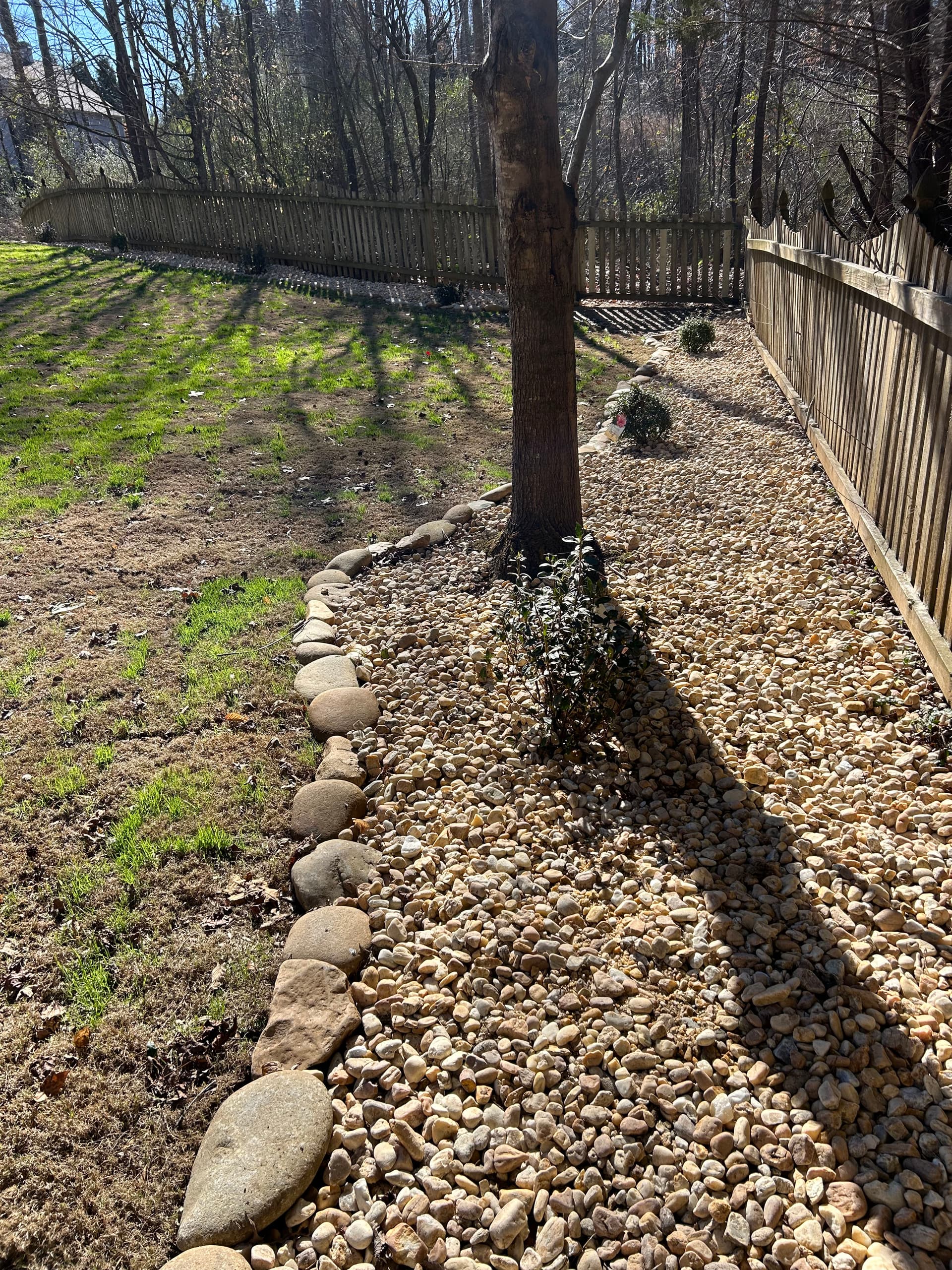 Backyard Enhancement in Gainesville