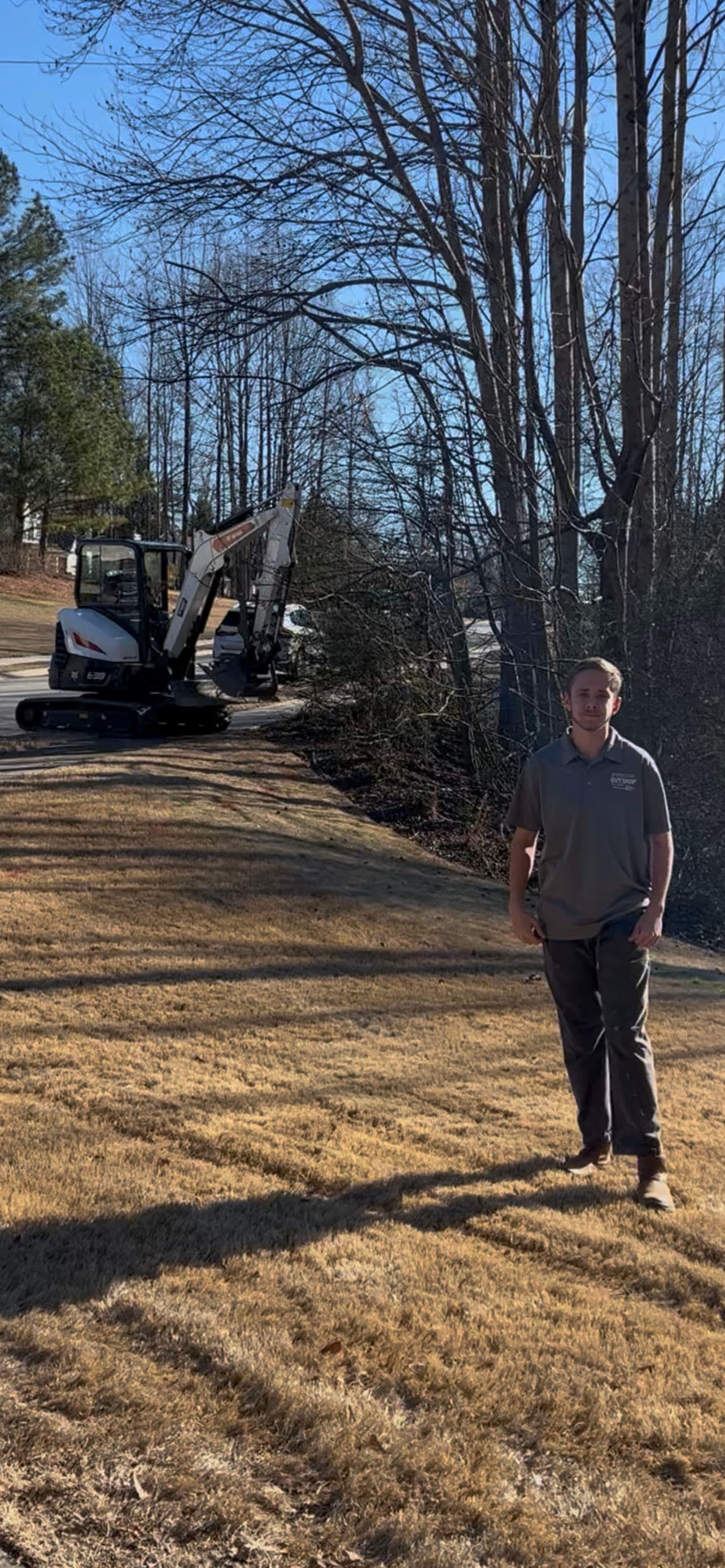 Tree Work in Gainesville Georgia