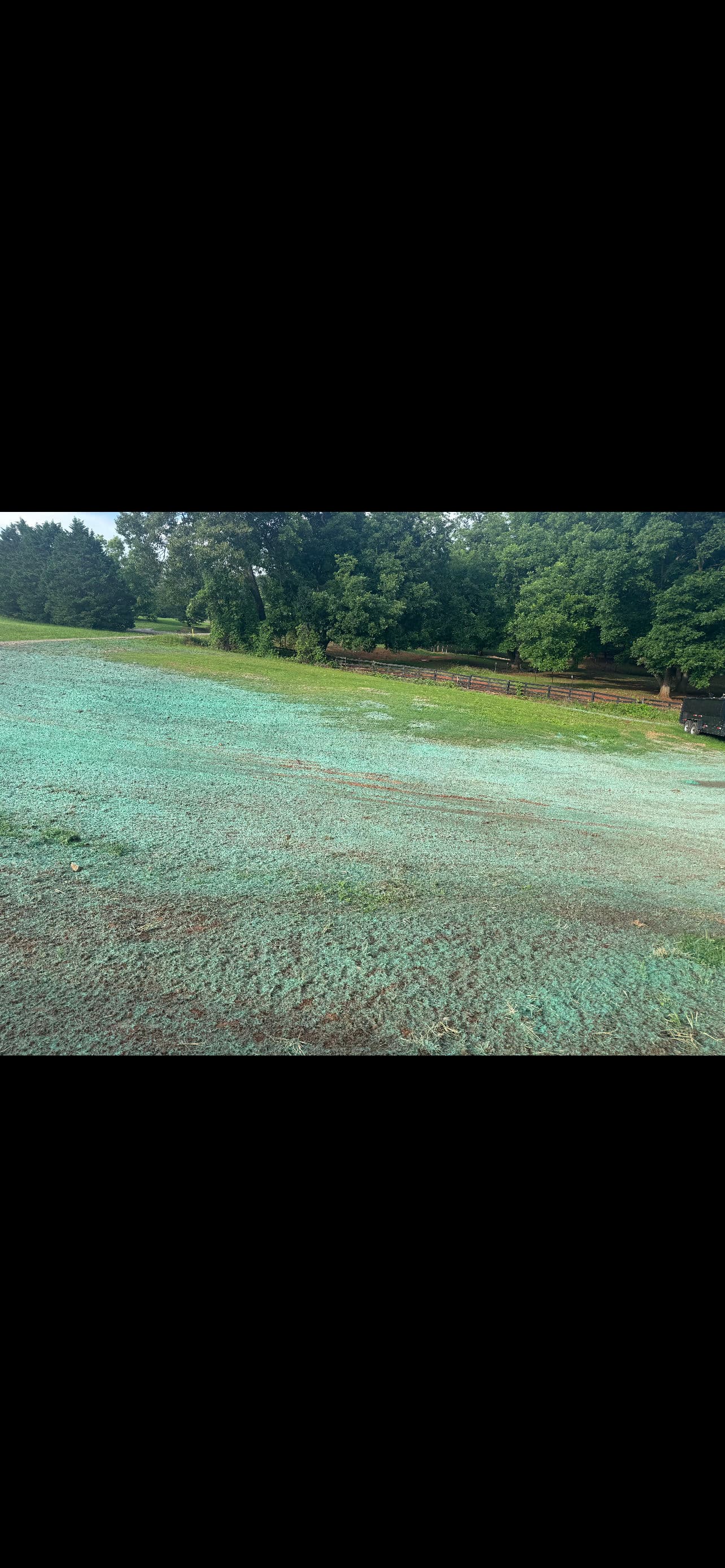 Fresh Hydroseeding Gets Dawsonville Yard Back on Track image