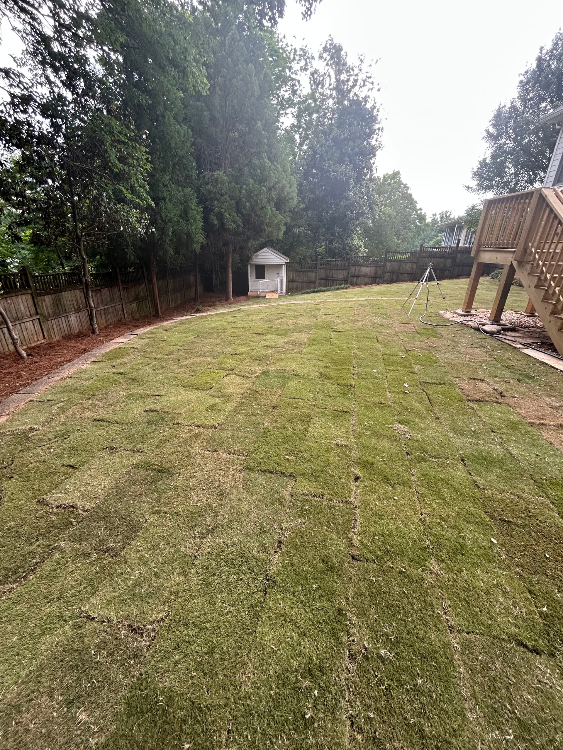 Gallery photos for Fresh Sod and Retaining Wall Install in Gainesville: Image #1