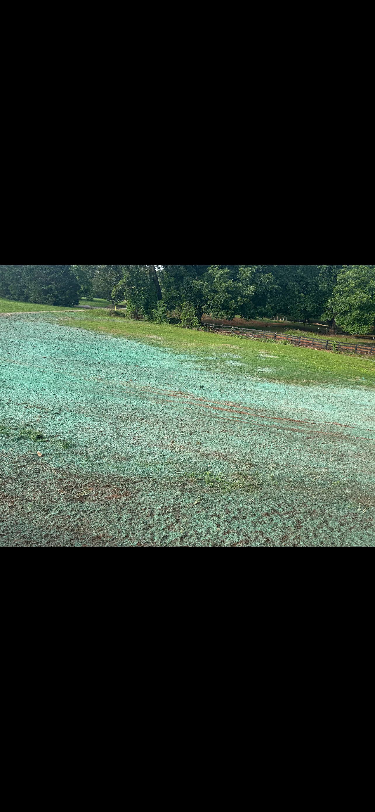 Gallery photos for Fresh Hydroseeding Gets Dawsonville Yard Back on Track: Image #1